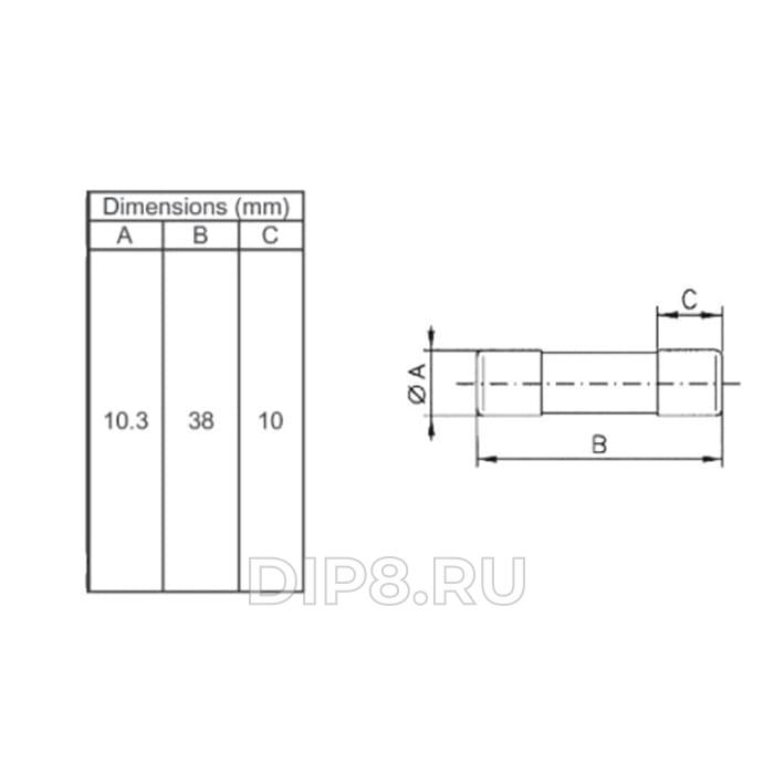 C10G2 BUSSMANN 