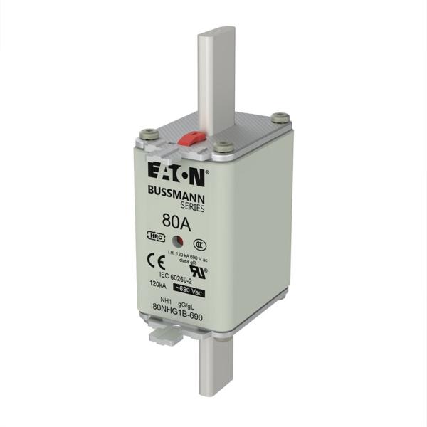 80NHG1B-690 BUSSMANN 