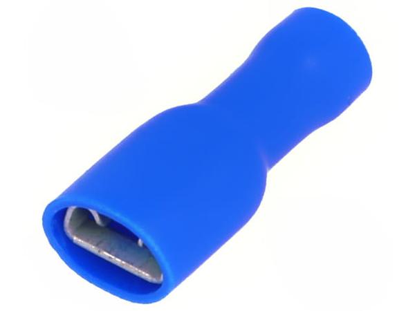 BM 00291