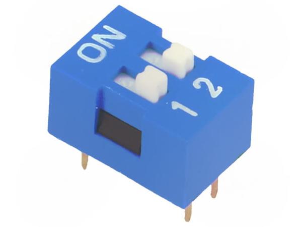 DS-02