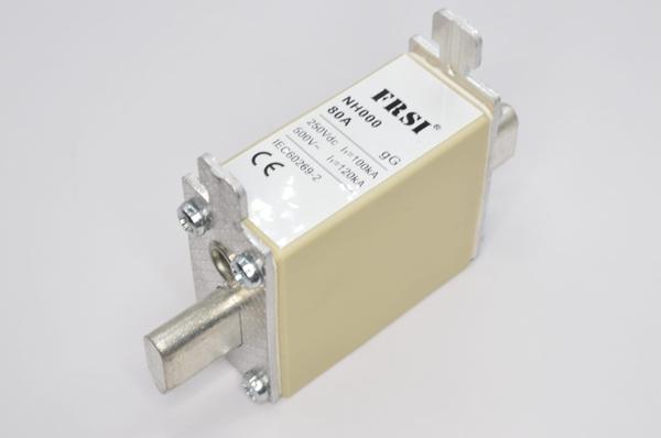 NH000 500V 80A GG