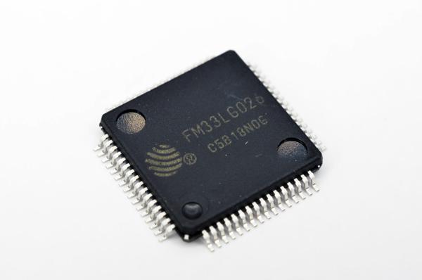 FM33LG026