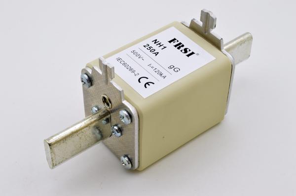 NH1 500V 250A GG