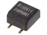 RBS100611T