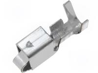 BVH-21T-P1.1