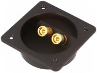 ZG2P