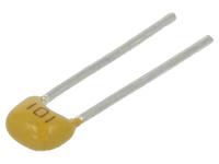 CT40805N101J500F1R