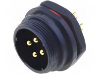SP2112/P4