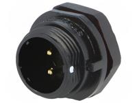 SP1312/P2