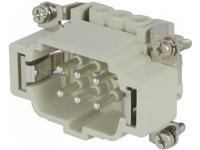 CNEM 06 T