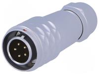 SF1210/P5I