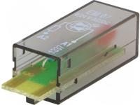 PTML0524