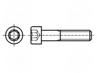 B5X100/BN4