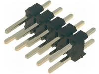 DS1021-2*5SF11-B