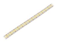 HH-S240F012-2835-12 WW WHITE PCB IP20
