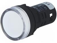 L22 24VDC W